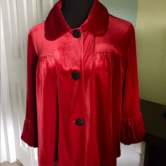 Beautiful velvet red top - Picture 1 of 3